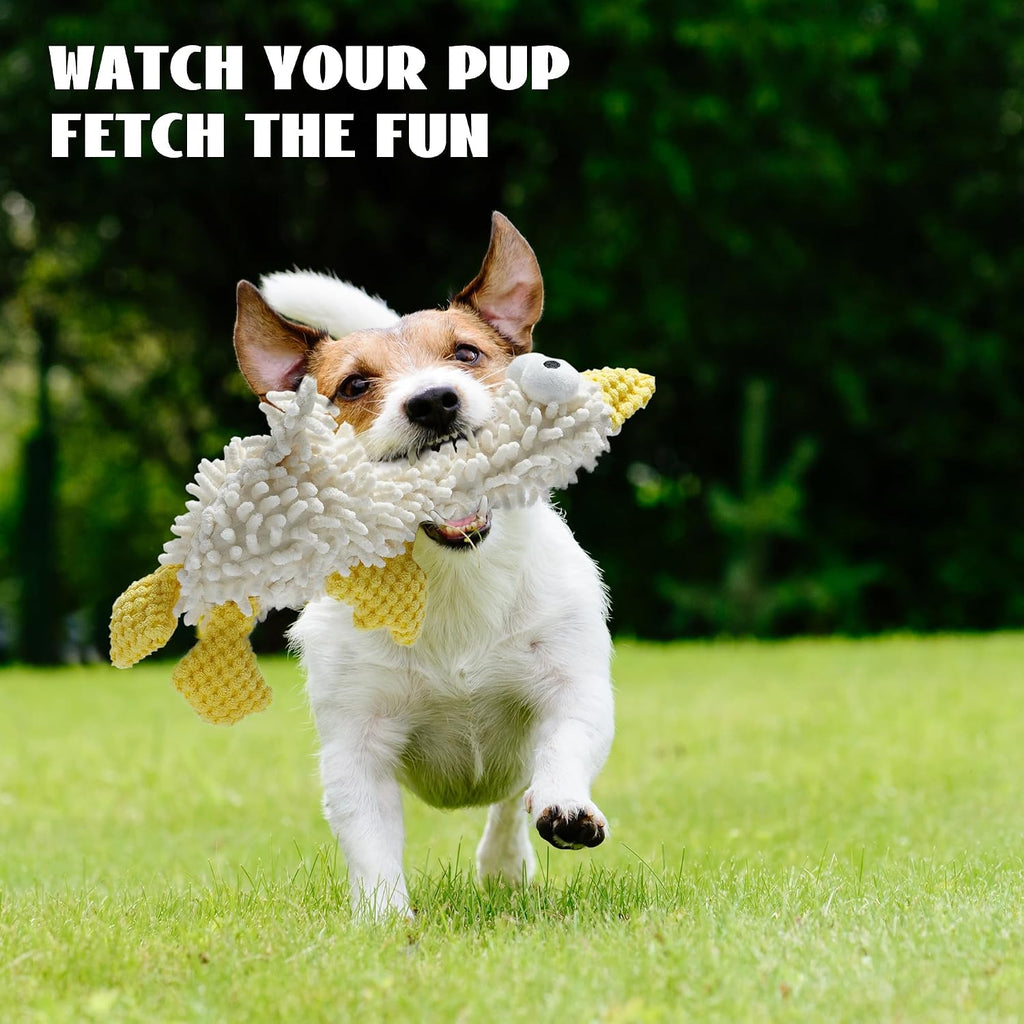 Nocciola doggie birthday gift pack plush stuffed durable pet toys for gentle play.