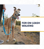 Reflective Tubelok webbing pet collar for night safety