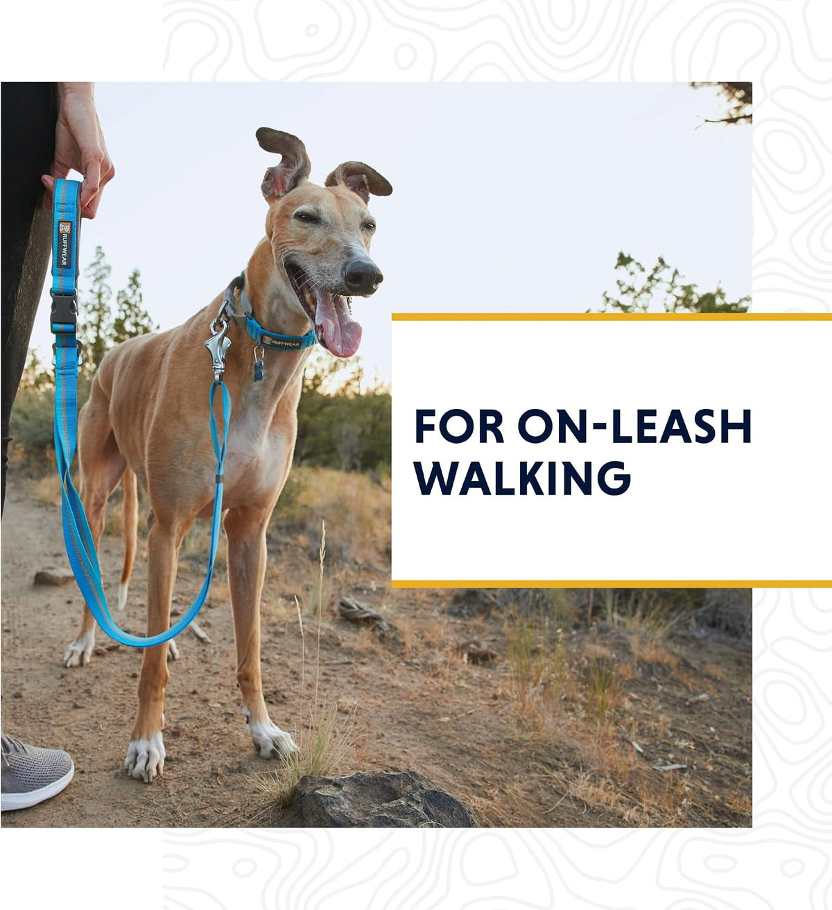 Reflective Tubelok webbing pet collar for night safety