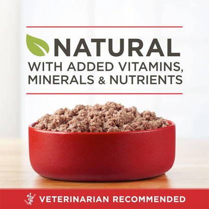 Purina ONE high protein grain free canned dog food twelve pack packaging