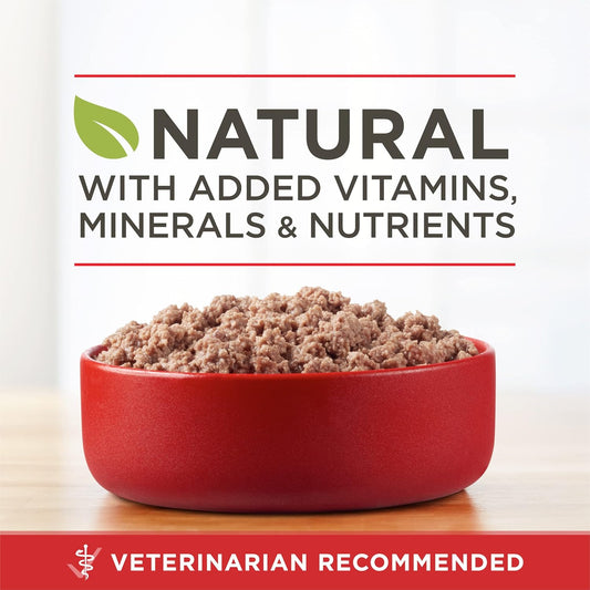 Purina ONE high protein grain free canned dog food twelve pack packaging