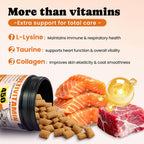 Buddycheer feline multivitamin supplement container highlighting the L-Lysine and Taurine immune support formula.