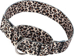 ONEFOJOJO red daisy pattern nylon training collar on a large dog