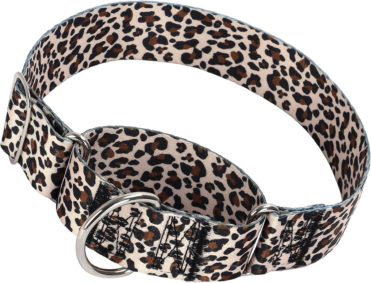 ONEFOJOJO red daisy pattern nylon training collar on a large dog