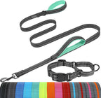 Authentic Vivaglory imported pet walking lead highlighting the reinforced stitching at the key connection points.