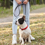 Dogline waterproof leash side profile showing flexibility