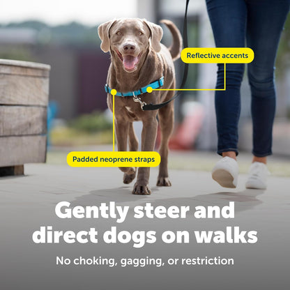 Reflective details on PetSafe Deluxe Easy Walk harness