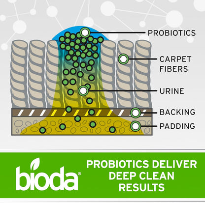 Bioda professional grade pet stain cleaner industrial formula bottle