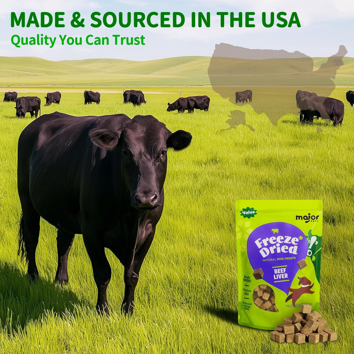 MAJOR PETS Freeze Dried Beef Liver Dog Treats - Single Ingredient - No Preservatives & High Protein - Grain Free - Premium Training Treats & Meal Topper - Made and Sourced in the USA - 3.5 oz - Image 9