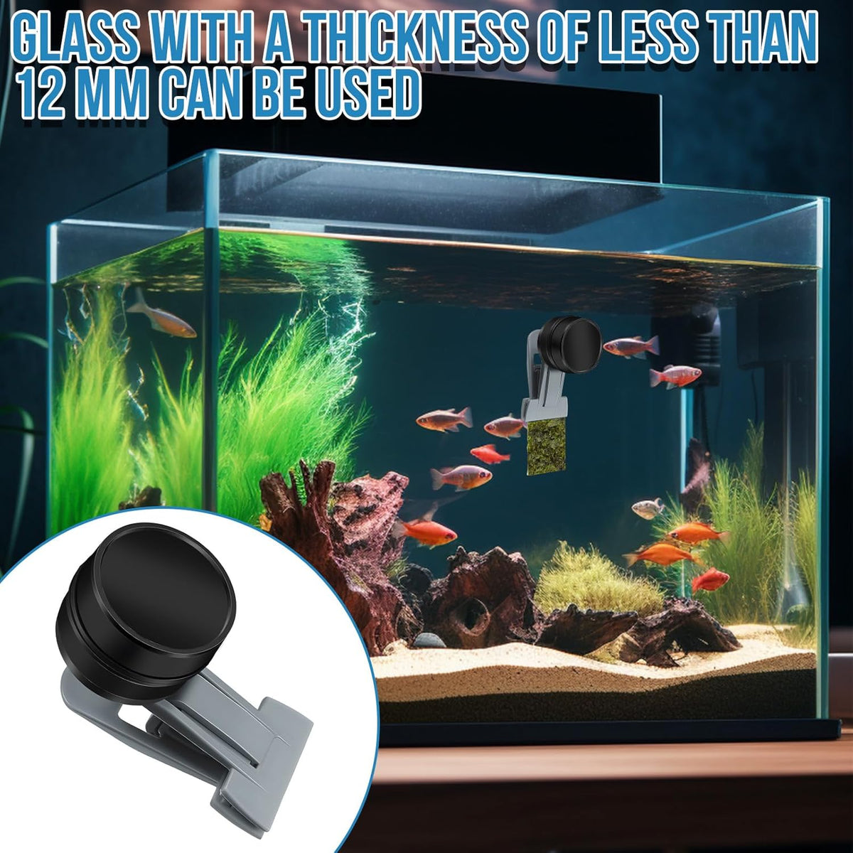 HINGTAI saltwater aquarium accessories magnetic clip holding algae sheet