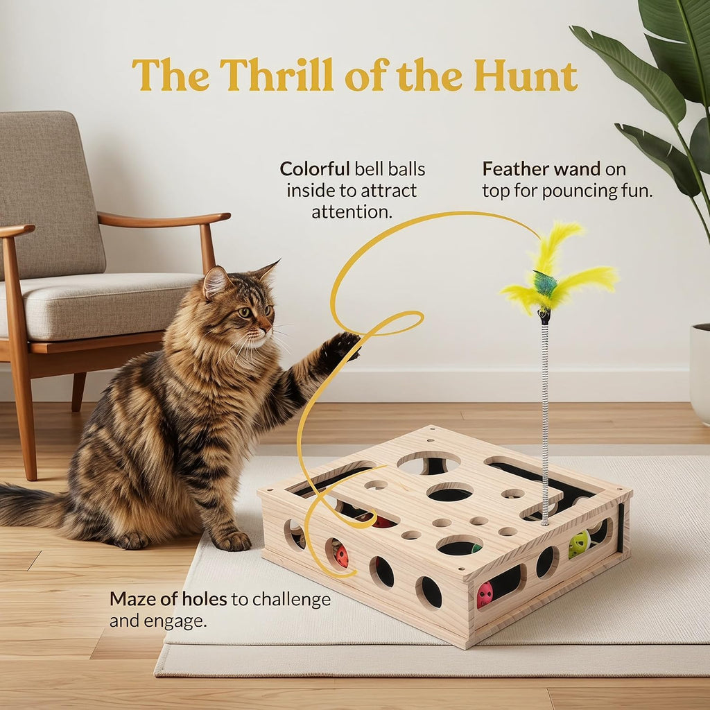 Close up of safe pine wood cat toy box with interactive circular openings