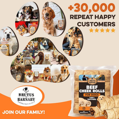 Premium Beef Cheek Rolls for Dogs 5-7" - (3-Pack), Peanut Butter Flavored Long Lasting, Safe & Natural Rawhide Alternative Chews, Ideal for Large Dogs & Aggressive Chewers, Supports Dental Health - Image 9