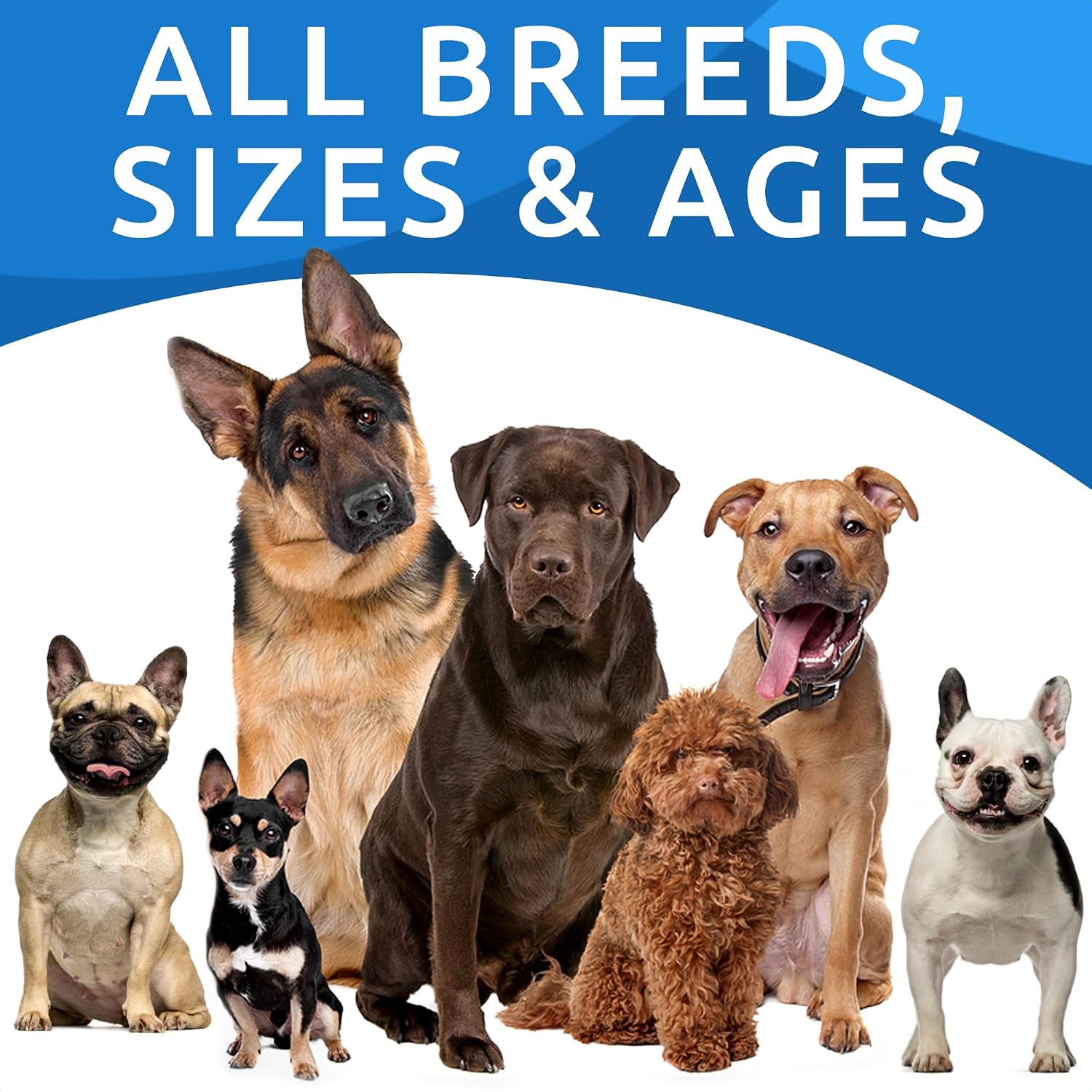 Authentic USA imported Bark And Spark dog skin health supplement packaging details