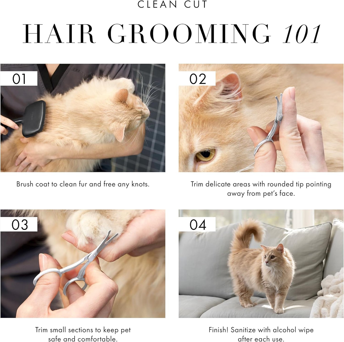 Tweezerman safety tip trimming scissors positioned for clipping cat facial fur.