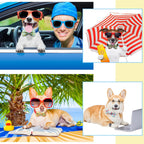 Measurement showcase of the three point sixty four inch pet collar slide charm.