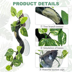 Fhiny terrarium corner branch accessory