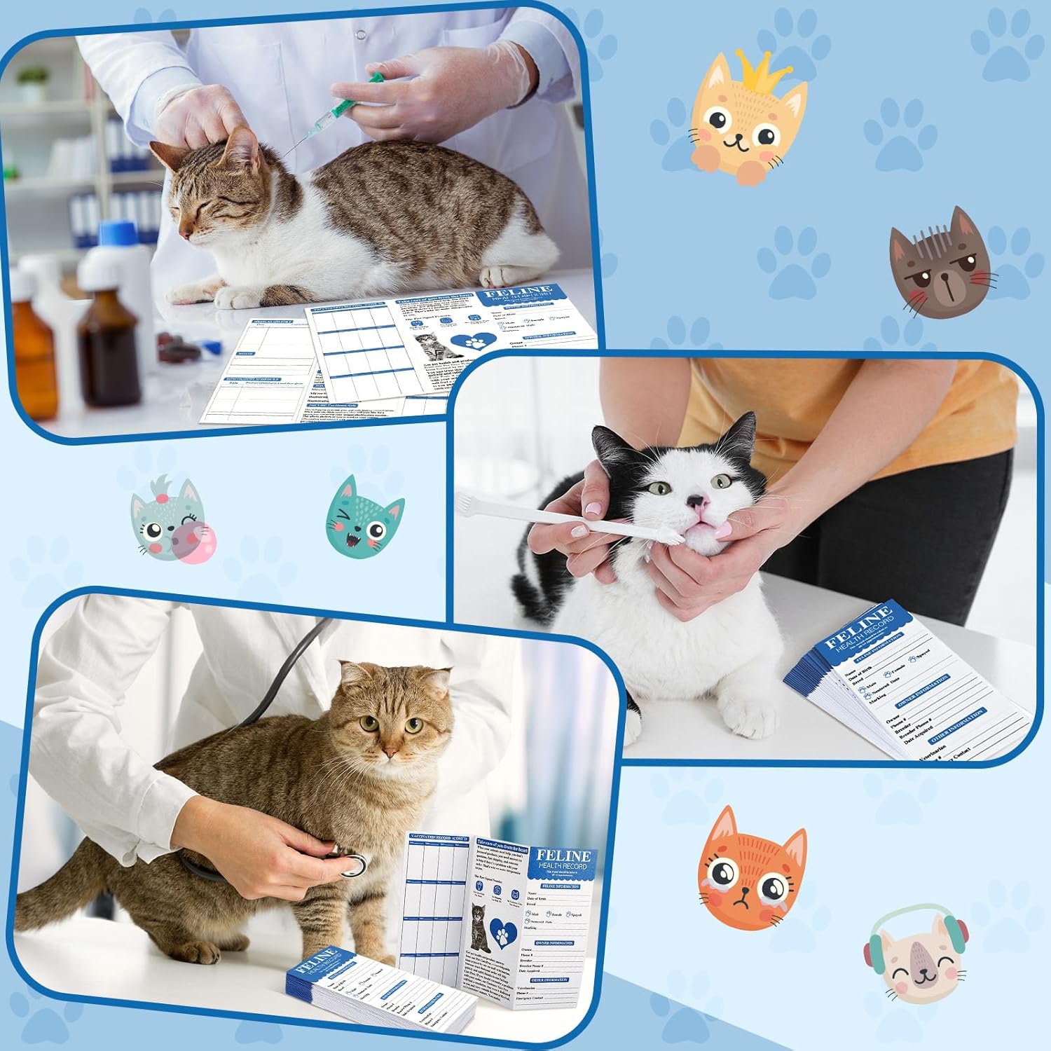 Dunzoom feline medical history booklet emphasizing the high quality offset paper texture.