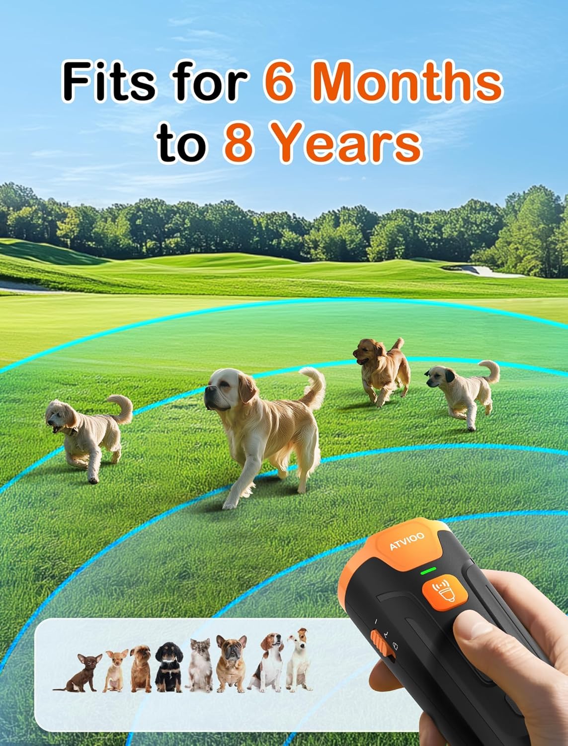 Atvioo anti-bark device used in outdoor training environment