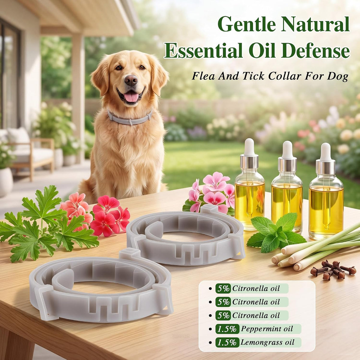 Mysora natural essential oil dog collar packaging