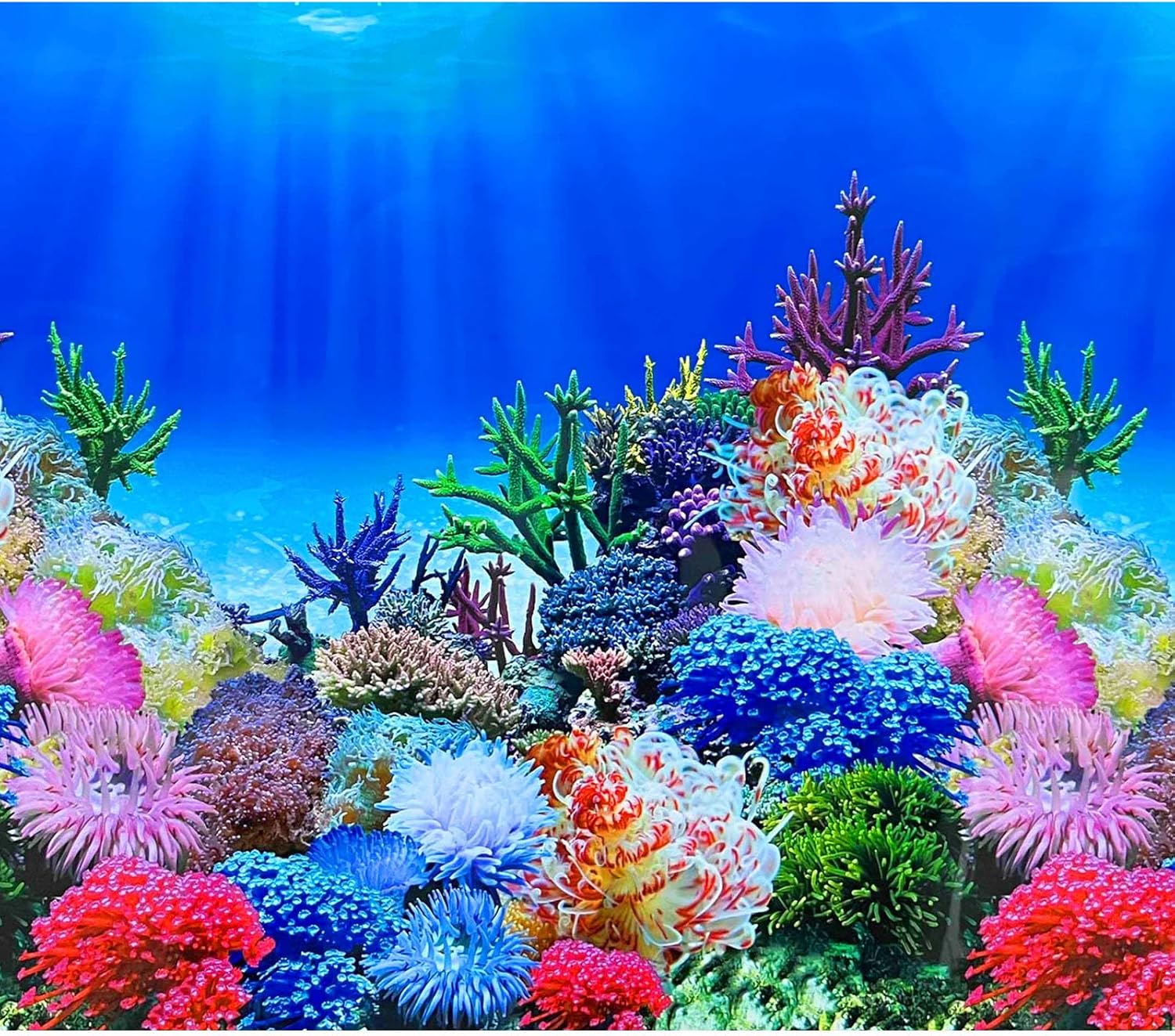 XCNO Undersea Aquarium Background Poster front view showing vibrant coral reef scene