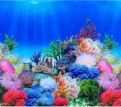 XCNO Undersea Aquarium Background Poster front view showing vibrant coral reef scene