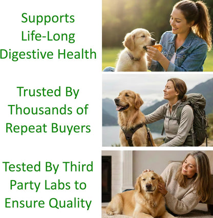 Premium pet immune support powder showing five billion colony forming units.