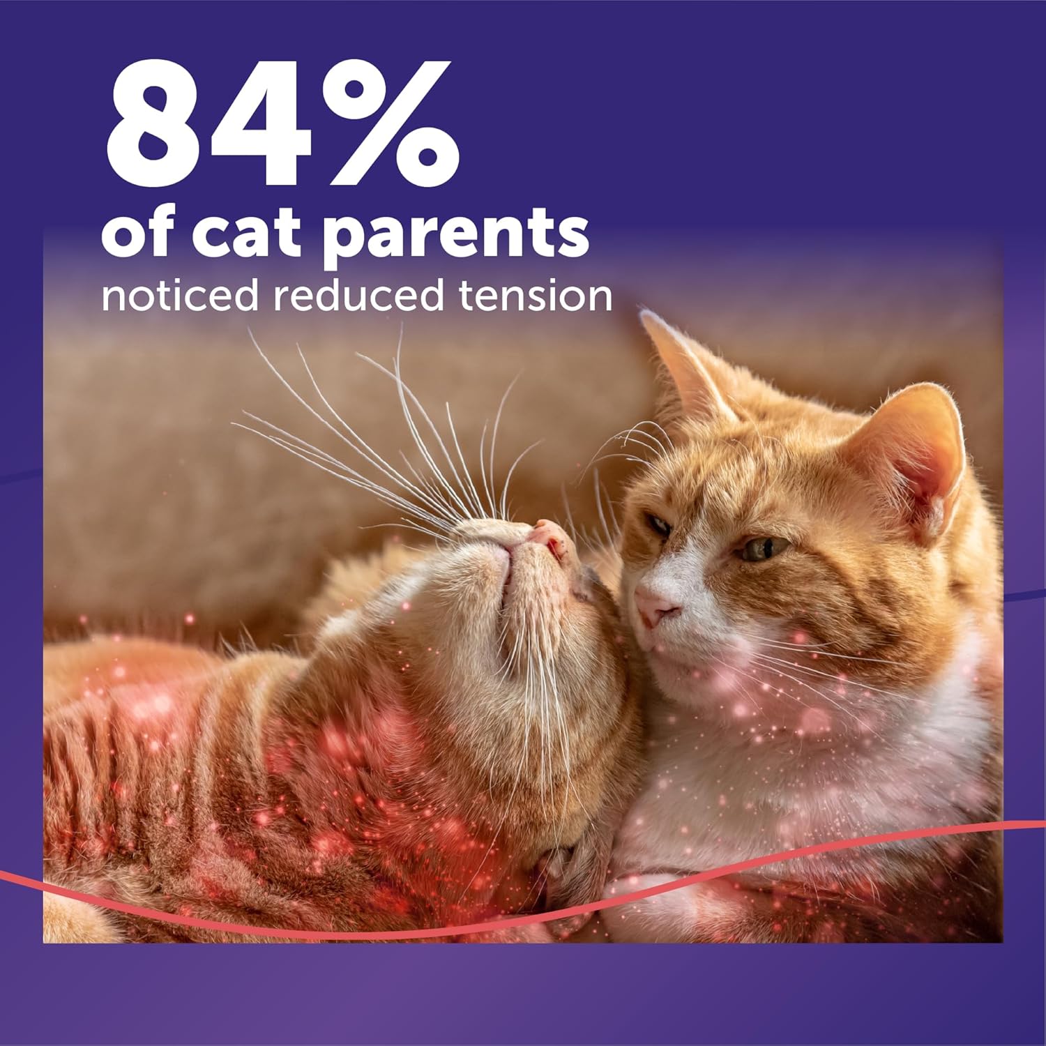 FELIWAY MultiCat calming pheromone refill bottle alongside an illustration demonstrating how to plug it into the wall.