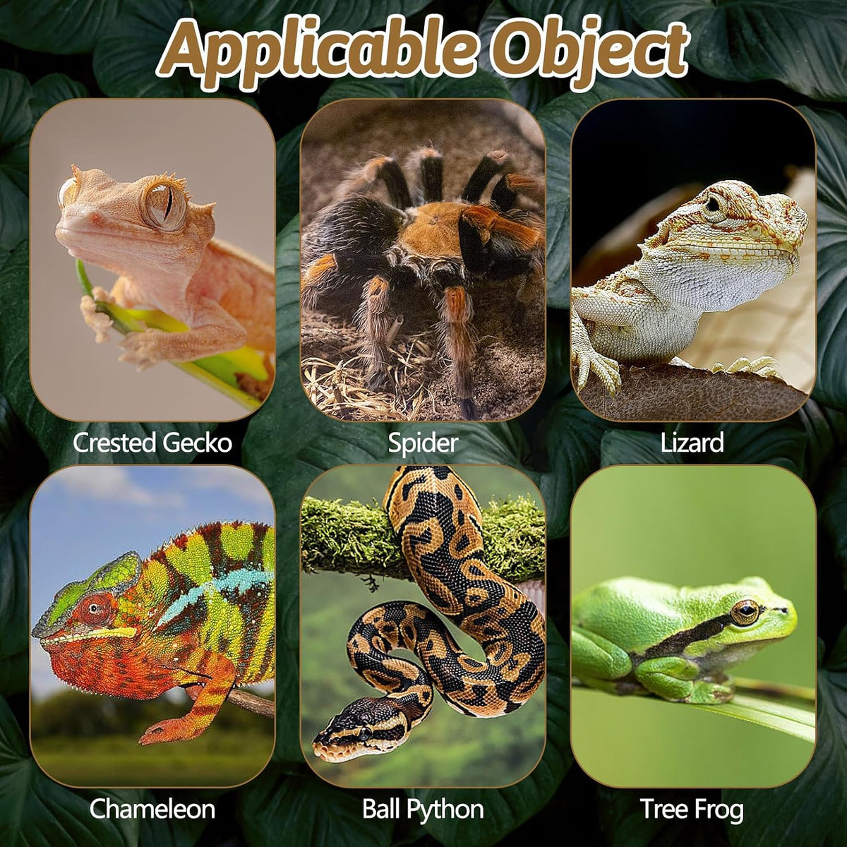 Authentic USA imported reptile habitat decoration showing natural irregular wood bark cuts.