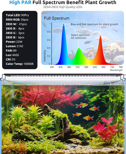 SEAOURA 24/7 natural cycle light simulation phases chart