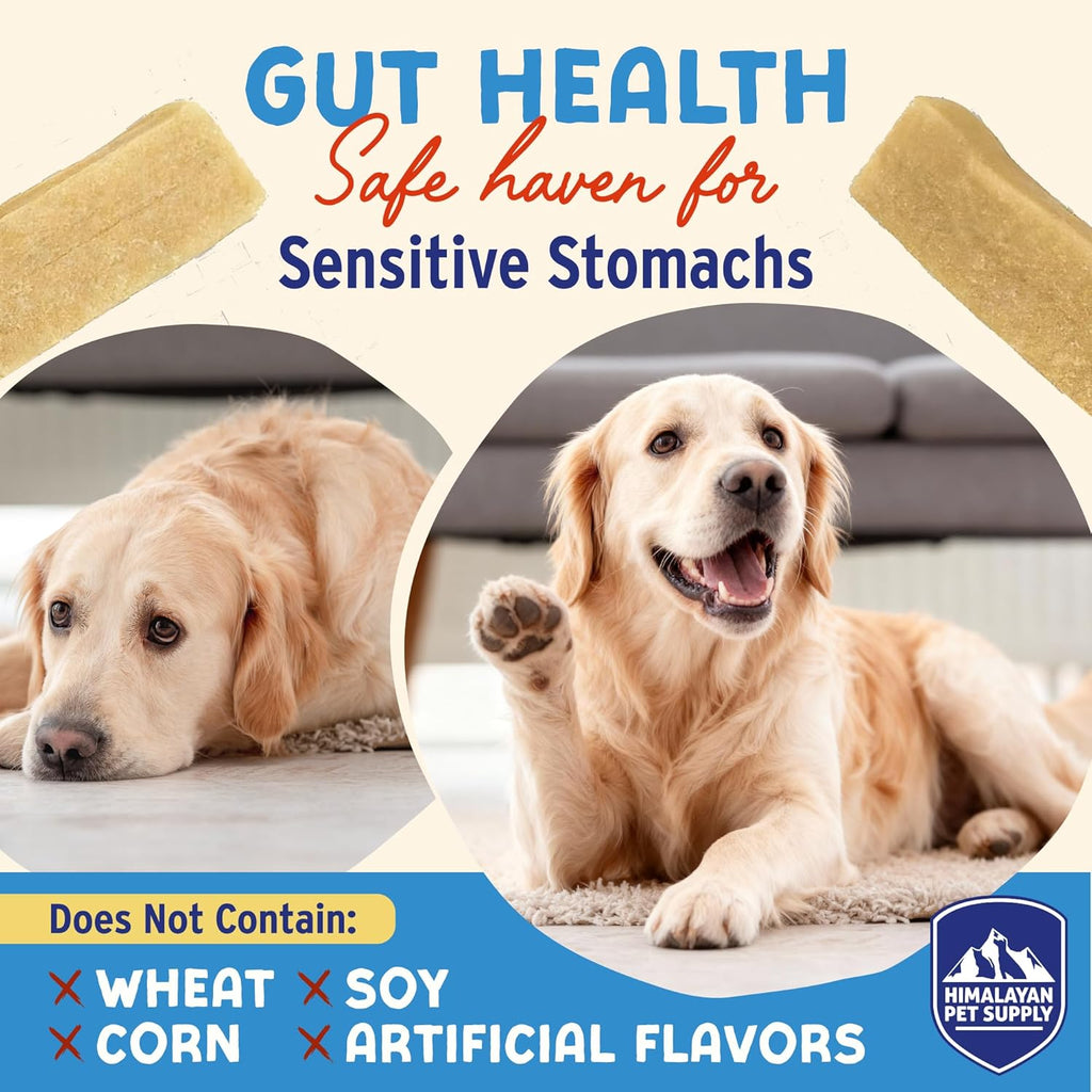Close up view of the soft density grain free healthy dog treats.
