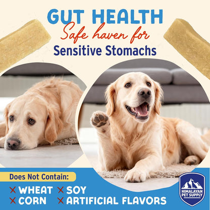 Close up view of the soft density grain free healthy dog treats.