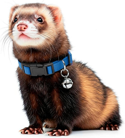 Marshall ferret tracking accessory laid flat demonstrating the adjustable three eighths inch premium nylon design.
