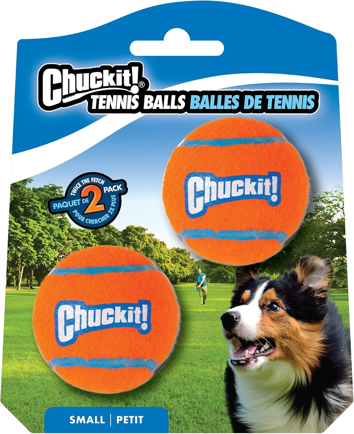 Chuckit! Dog Tennis Ball Dog Toy, Medium (2.5 Inch Diameter) for dogs 20-60 lbs, Pack of 4 - Image 13