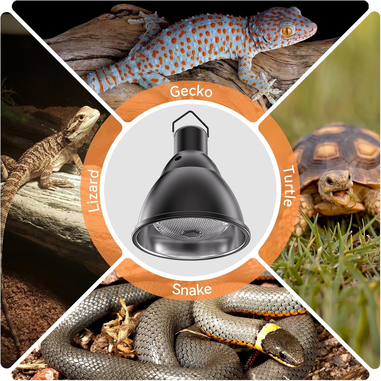 DTZY 7 inch basking light dome with 3 level brightness settings diagram
