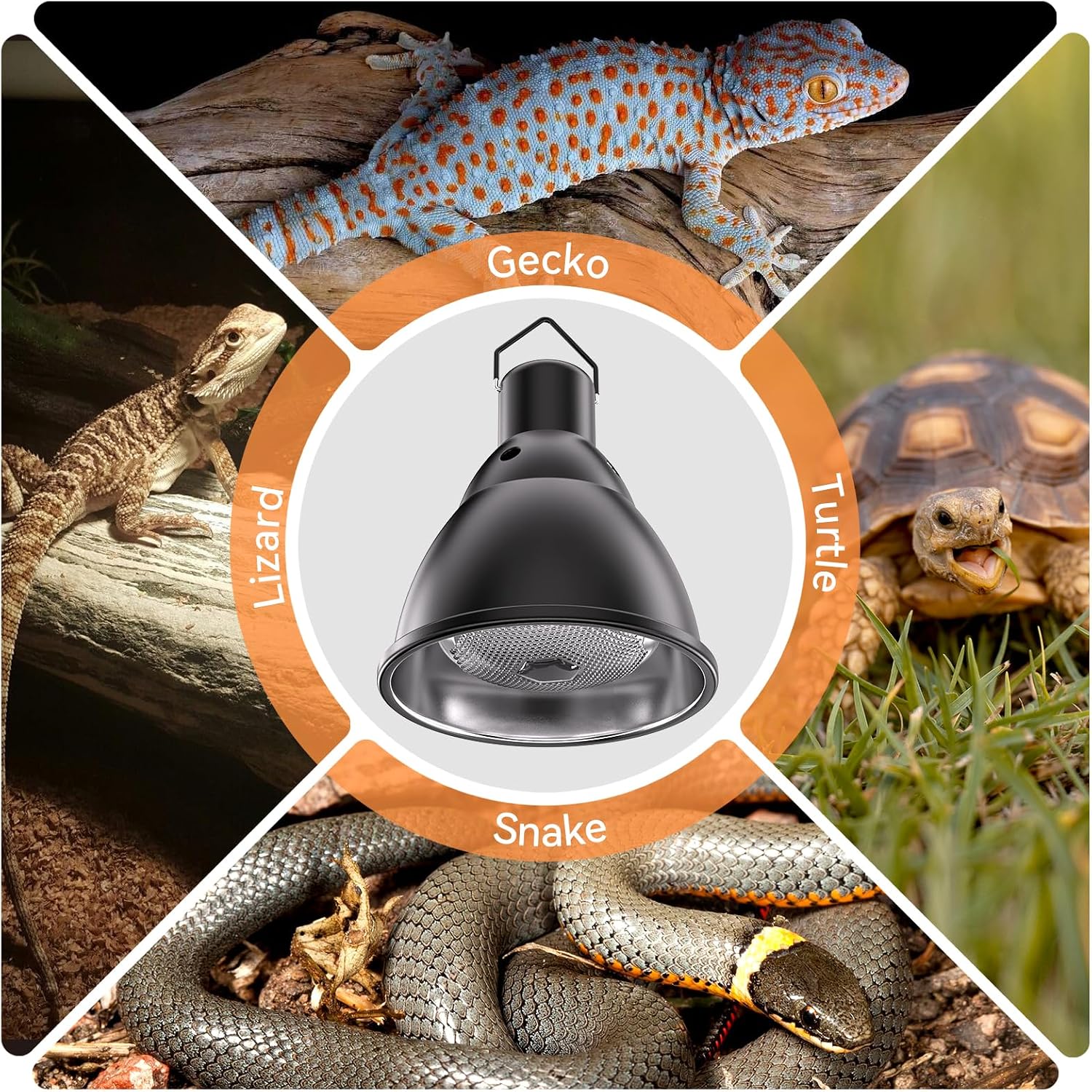 DTZY 7 inch basking light dome with 3 level brightness settings diagram