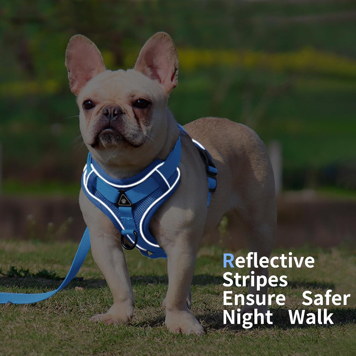 Jolifield adjustable cat and dog vest harness showing the integrated night safety reflective strips