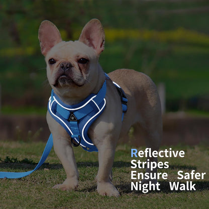 Jolifield adjustable cat and dog vest harness showing the integrated night safety reflective strips
