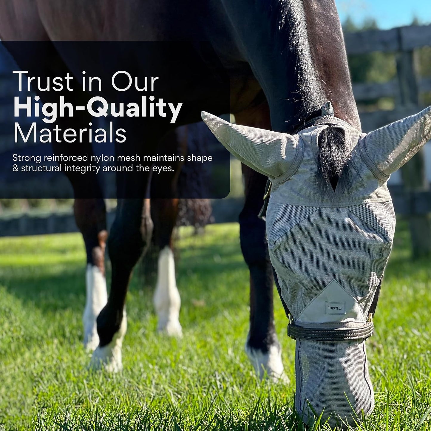 Horse wearing Tuffteq fly mask with nose extension