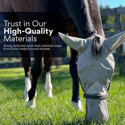 Horse wearing Tuffteq fly mask with nose extension