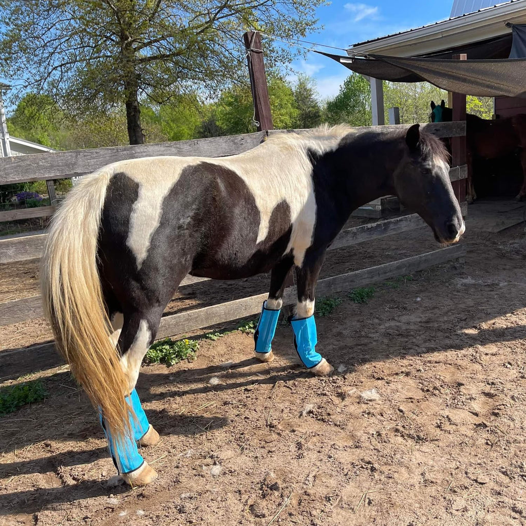 NizHome protective horse leggings showing adjustable buckle design close up.