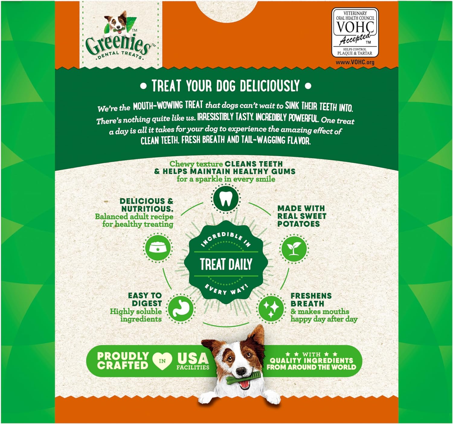 Greenies Dog Treats,Veterinarian-Recommended Natural Dental Dog Treats,Large Size,Sweet Potato Flavor,36 oz,24 Count (Pack of 2) - Image 9