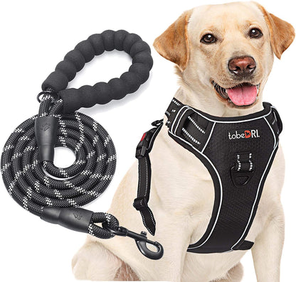 tobeDRI No Pull Dog Harness Adjustable Reflective Oxford Easy Control Medium Large Dog Harness with A Free Heavy Duty 5ft Dog Leash - Image 7