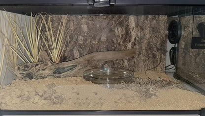 Woledoe artificial plant for crested gecko and lizard enclosure