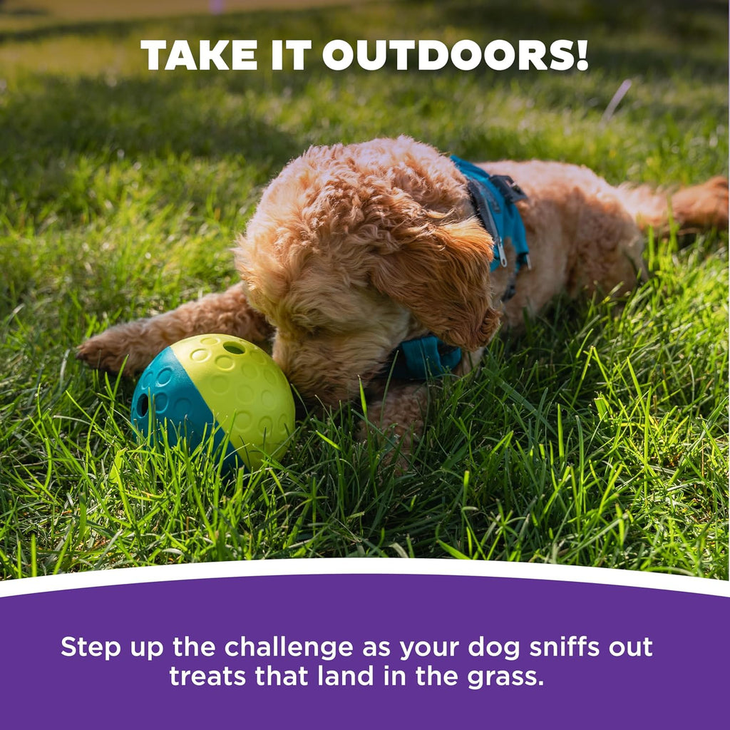 Outward Hound interactive dog exercise toy dispensing treats