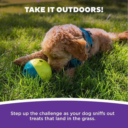 Outward Hound interactive dog exercise toy dispensing treats