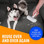 ChomChom Roller cleaning pet fur from a couch