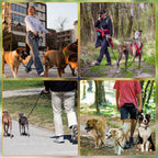 Durable zinc alloy metal clasps attached to the small-sized dog traction ropes.