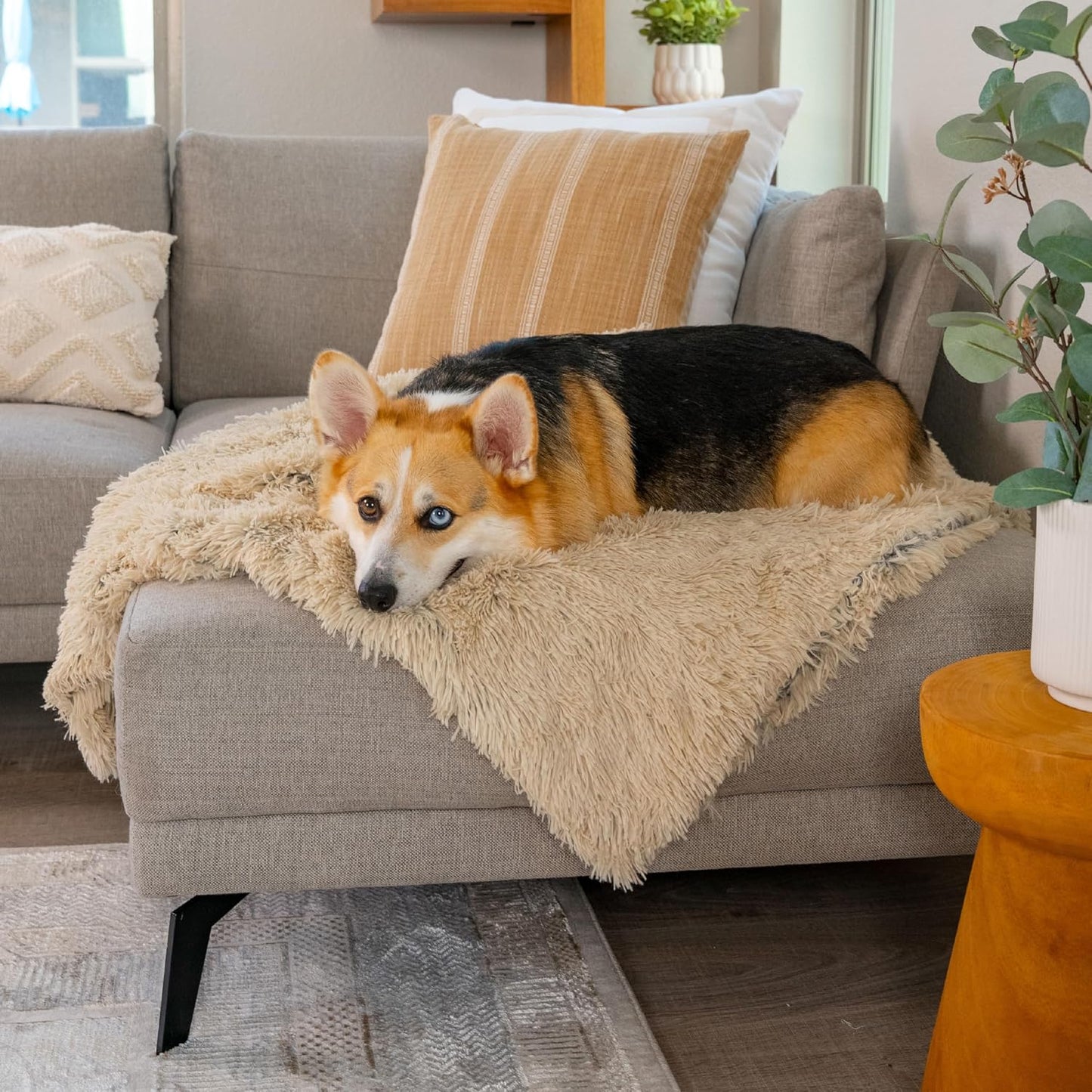 Authentic USA imported anti anxiety pet blanket for burrowing dogs