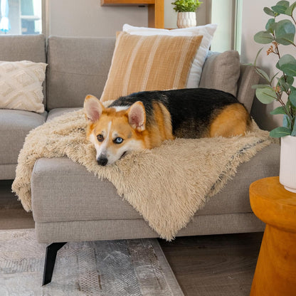 Authentic USA imported anti anxiety pet blanket for burrowing dogs