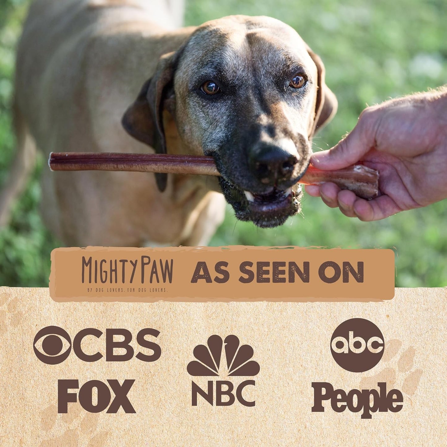 Premium high protein dental dog chews for plaque removal